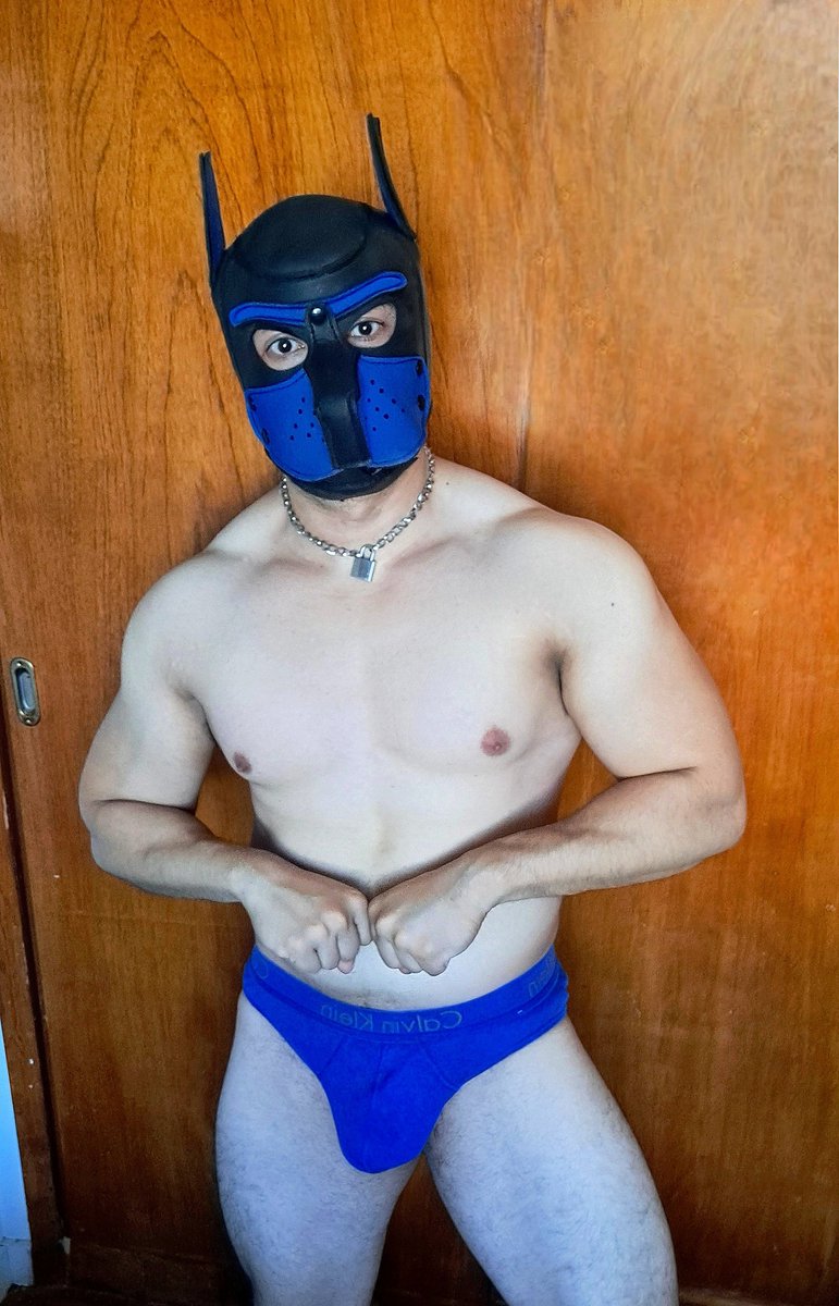 GEORGEMHMH tweet media