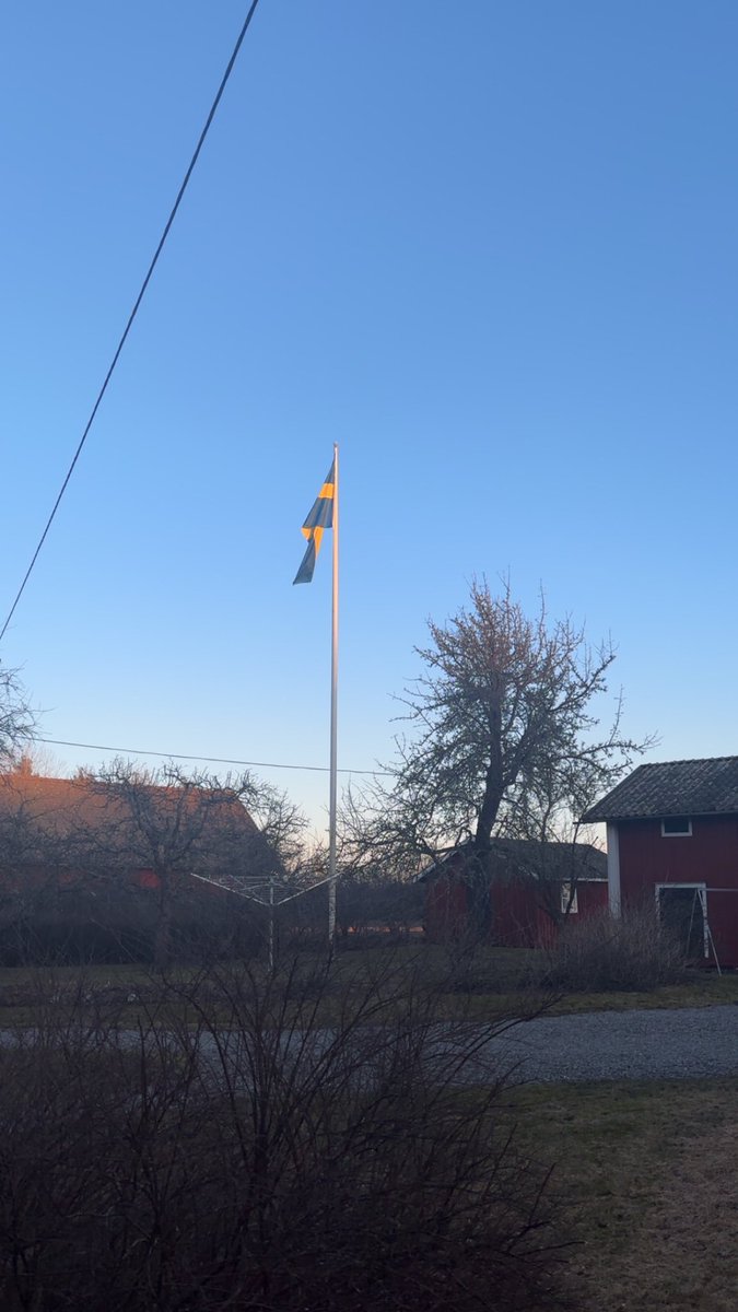 The Biohacker🥛🌞 tweet media