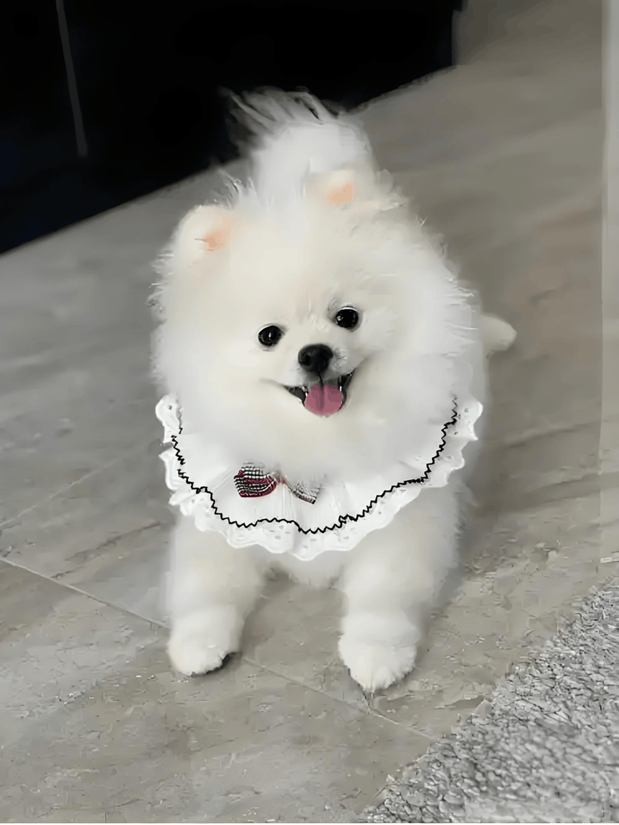 kealohanui heaps tweet media