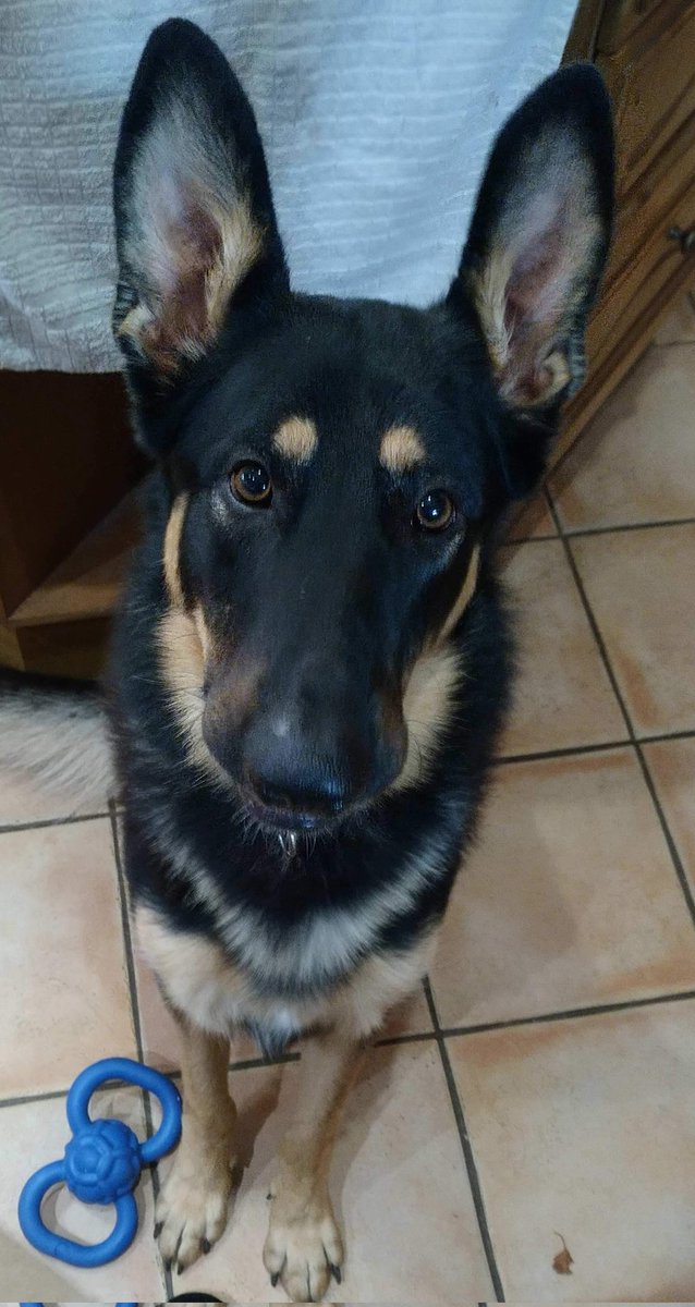 Rob Compton tweet media