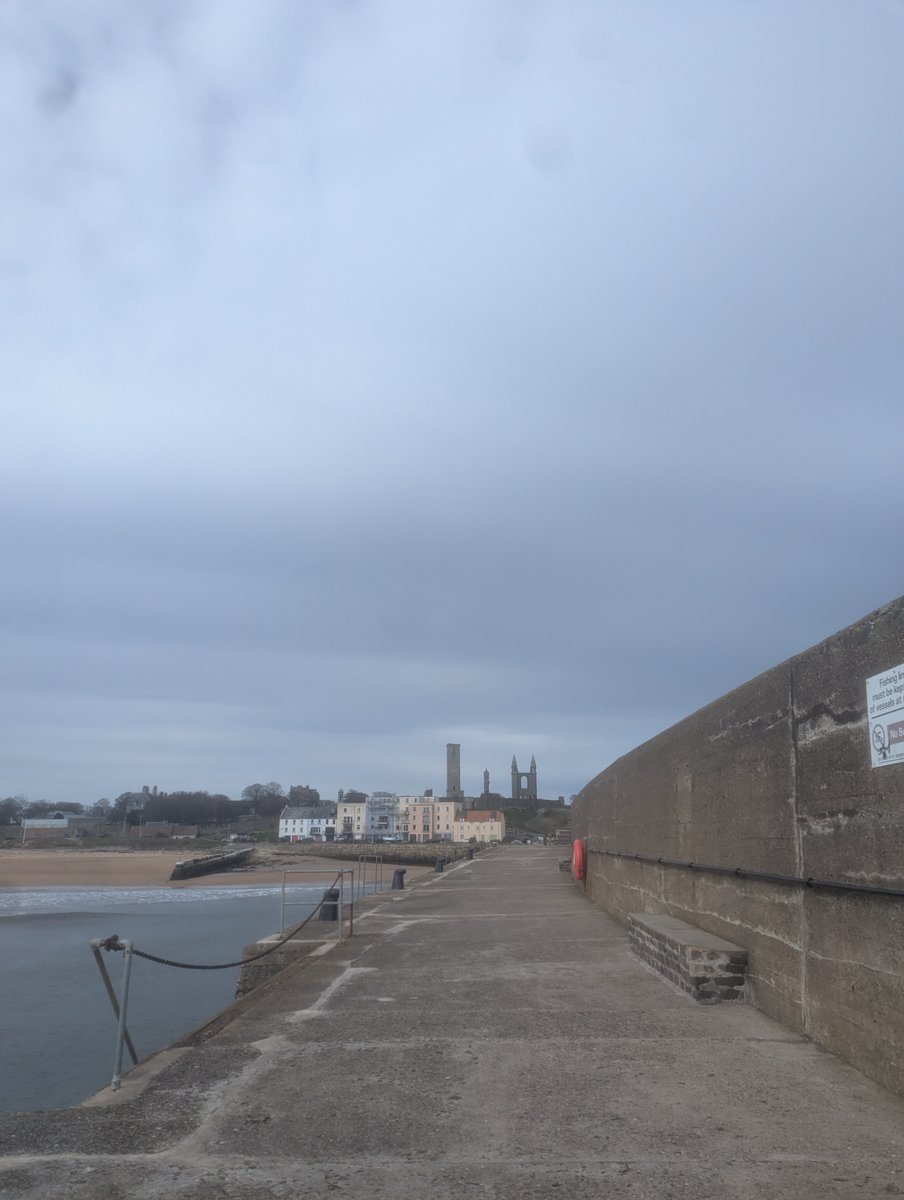 Ruby Dunn tweet media