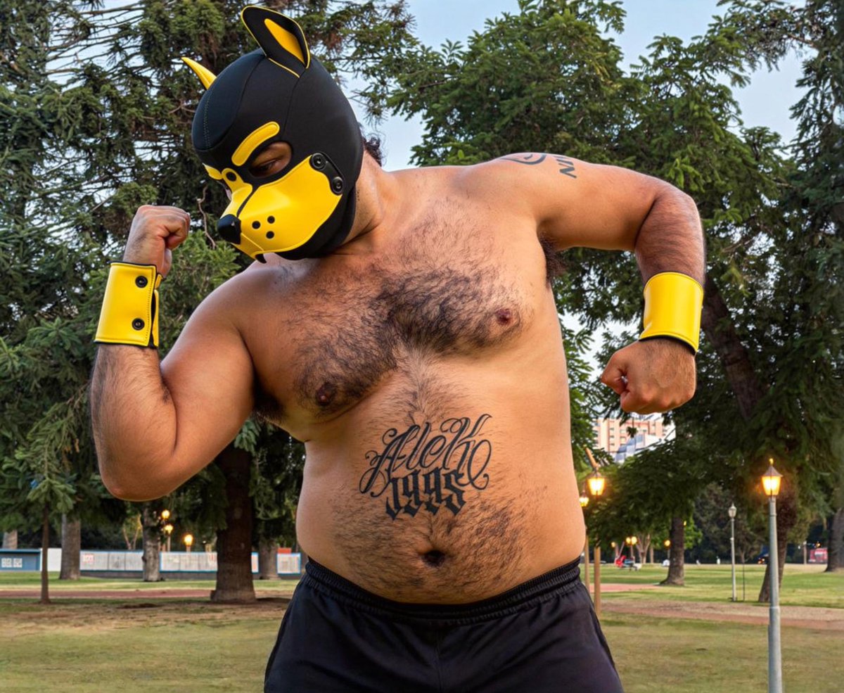 Carlos Ale tweet media