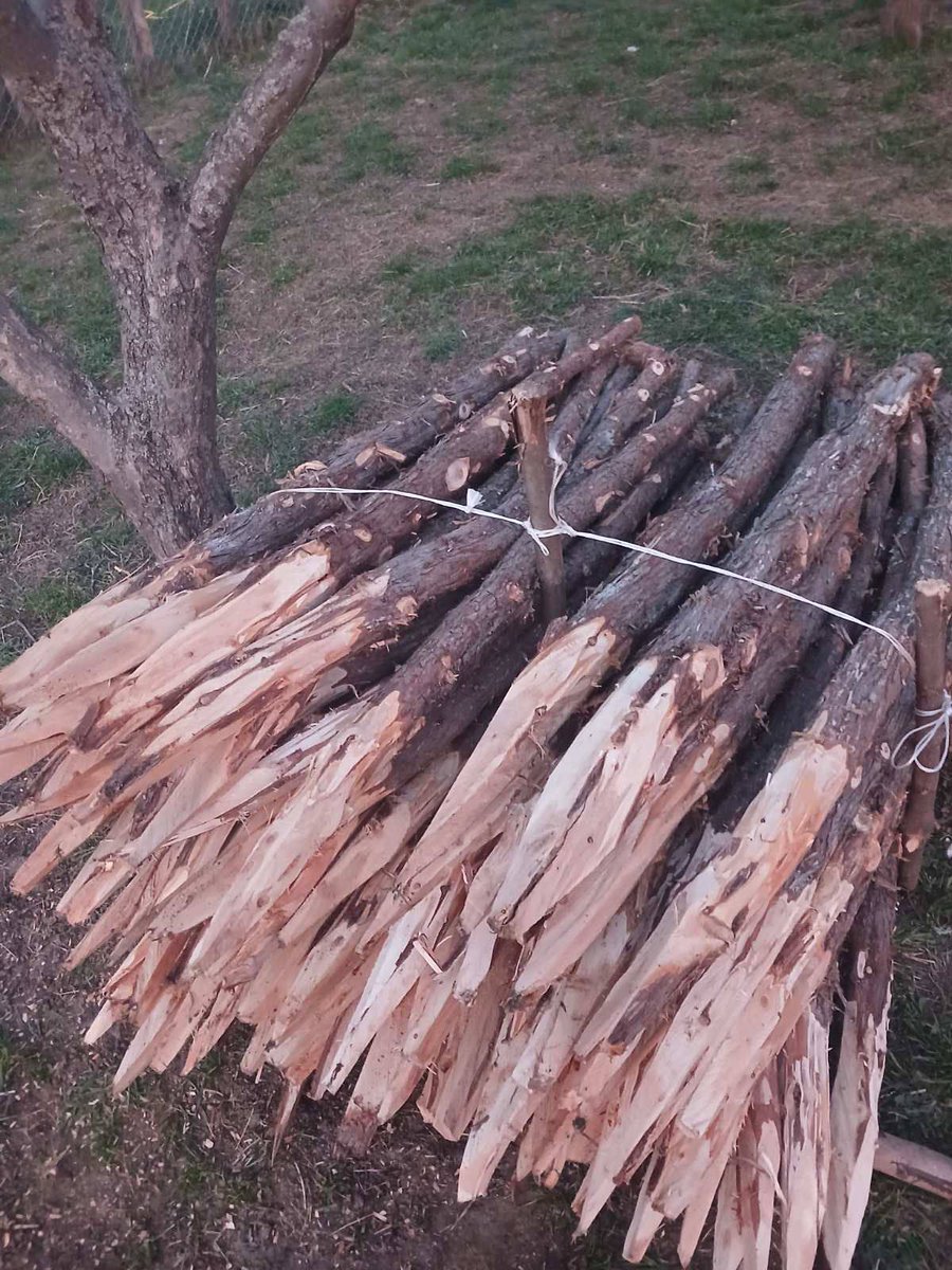 Srdjan Prekovic tweet media