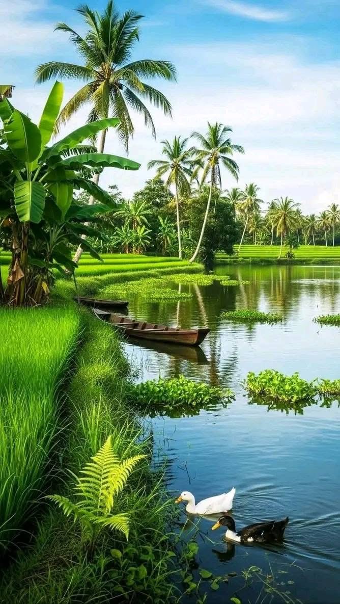 DispurseStar2's tweet image. Wisdom and Learning ;

"To know the road ahead, ask those coming back."———

 (Chinese Proverb) - The value of learning from the experience of elders and those who have gone before
#wisdomwithoutfear #Experience