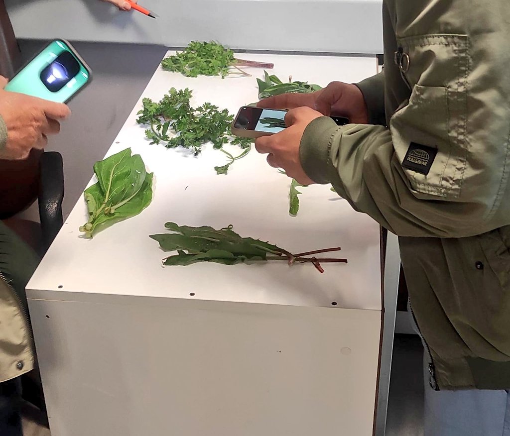 acilsariseron tweet media