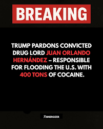 No Worries tweet media