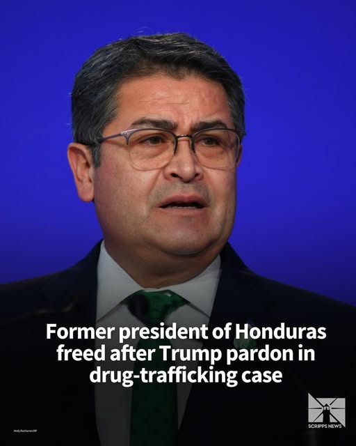 No Worries tweet media