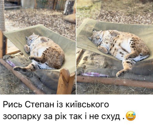 бро скинув мем tweet media