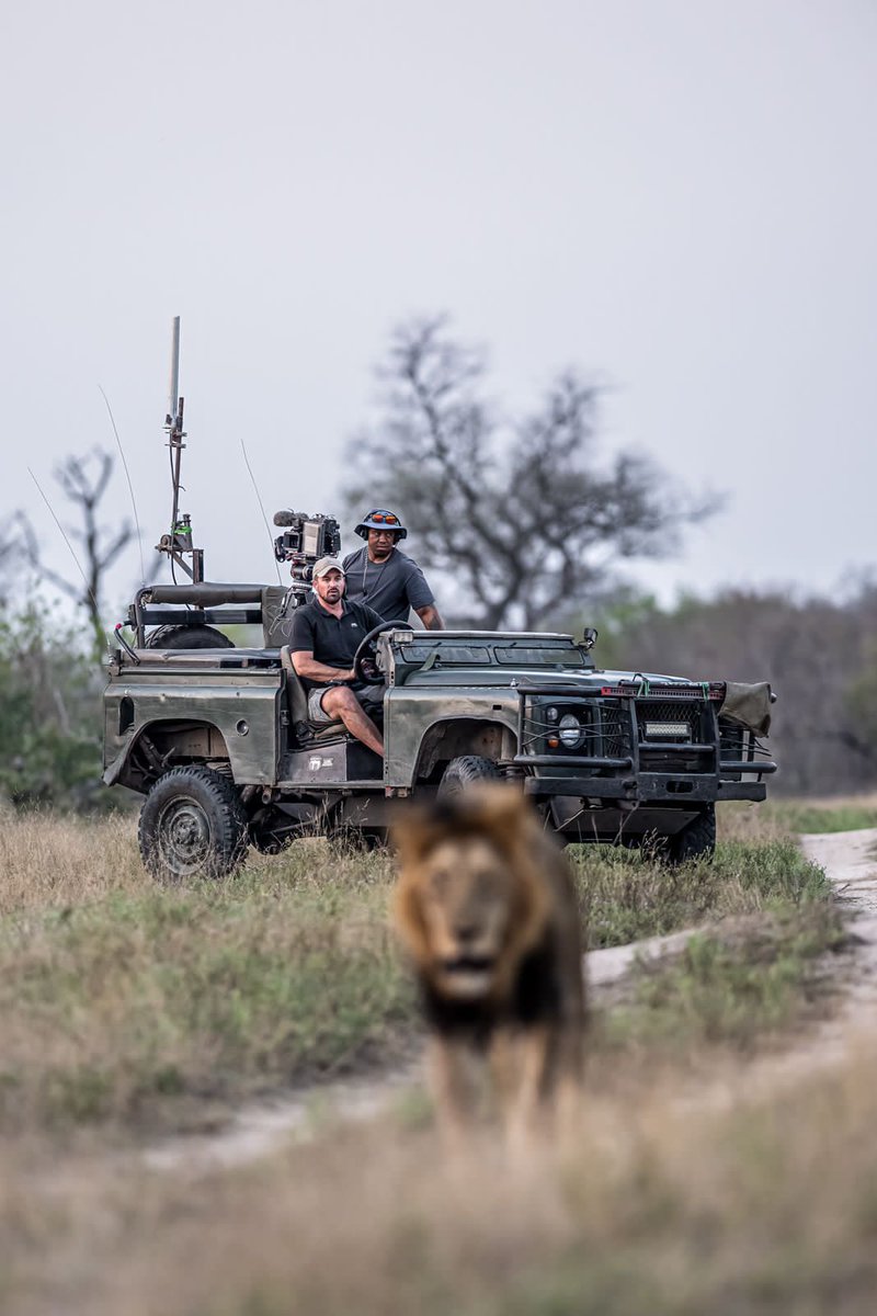 RemembrWildlife's tweet photo. Exclusive WildEarth Virtual Safari with Tristan Dicks in Kickstarter (launches TOMORROW at 8am GMT). Read more about how to pledge to jump on this private virtual safari on World Giraffe Day (21st June) here - https://t.co/ozwhKL99sA https://t.co/ocq5N9gScY