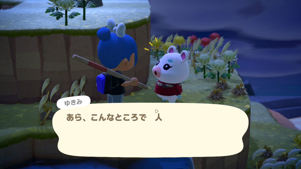 poulailler_plus's tweet photo. 🐻探しで巡った離島で出会った子たち…違う島だったら勧誘してたなぁ〜😭 https://t.co/v1wb72I4DB