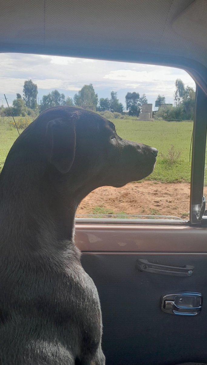 Ryno J van Vuuren🇺🇲 tweet media