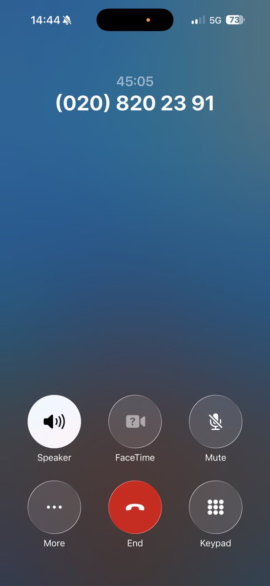 Sven | PTCG tweet media