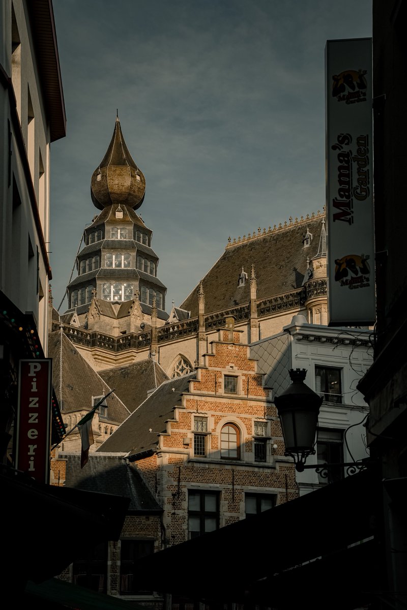 Observer Of Culture tweet media