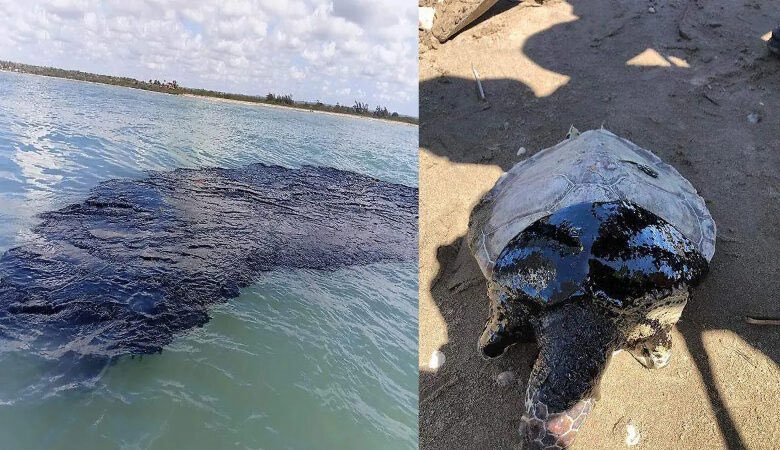 Rubén Moreira tweet media