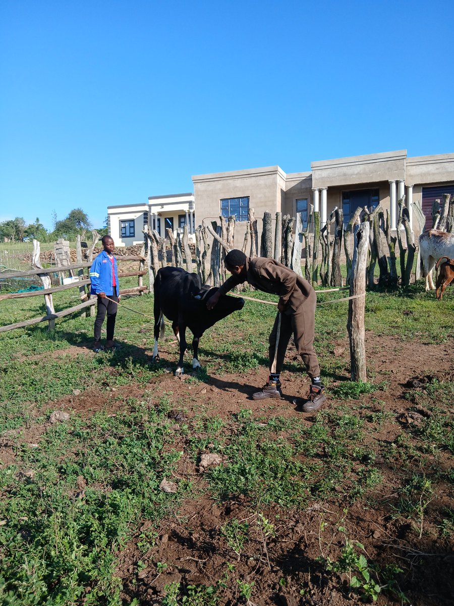 Madlokovu🐆 tweet media