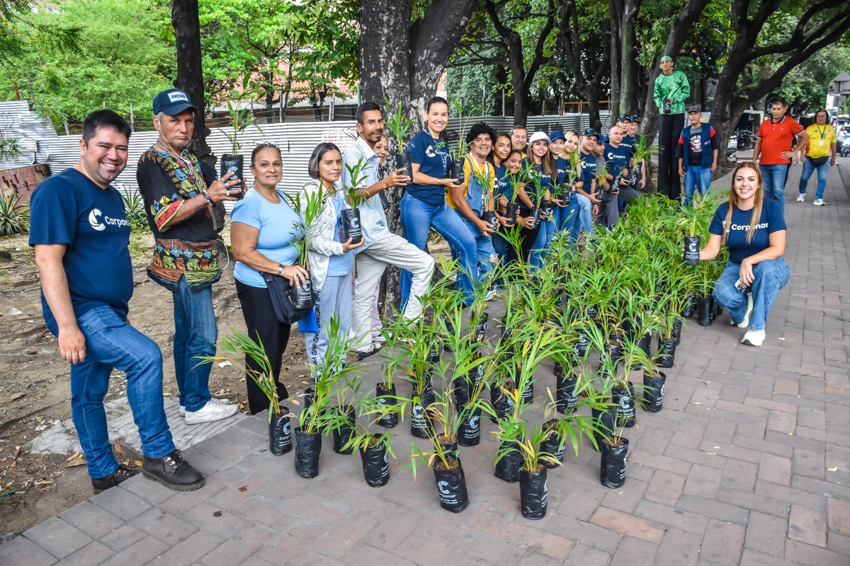 CORPONOR tweet media