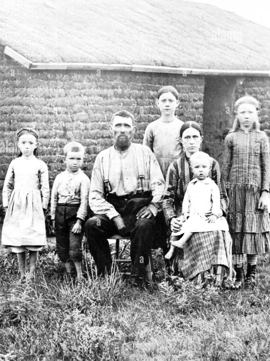 The Conservative Alternative tweet media