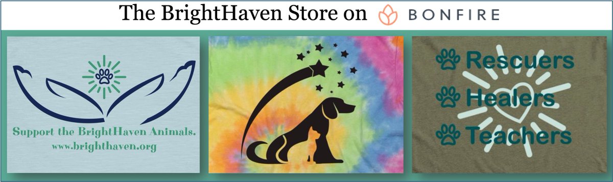BrightHaven's tweet photo. No matter the season, nonprofit BrightHaven's fun &amp; fashionable shirts are a great way to look &amp; feel good while doing good! Your purchase helps us help more animals &amp; those who love them. All styles: https://t.co/saVQmf1NV5. Thank you! #brighthaven #animals #gratefulforanimals https://t.co/V1im5OOXOe