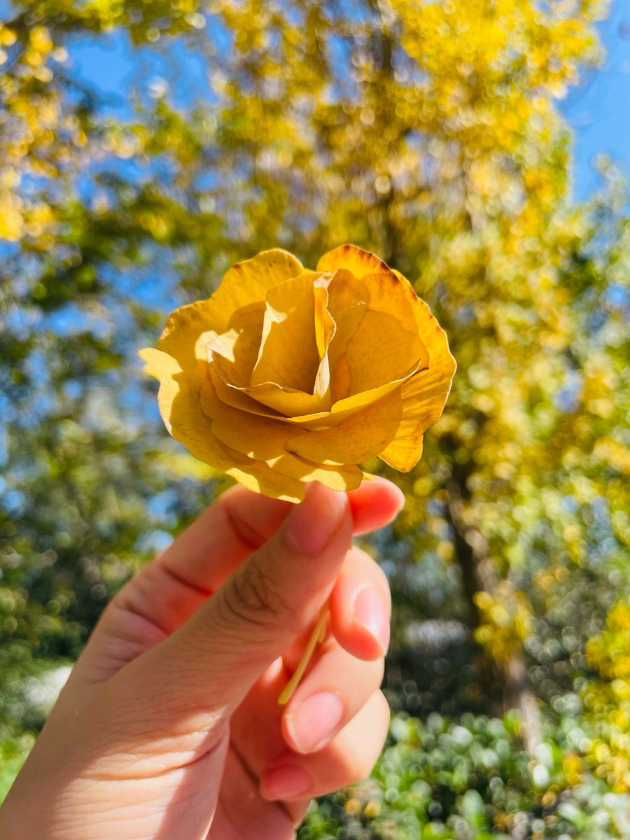 MikunInfo's tweet photo. Growth isn’t about being perfect overnight—it’s showing up, learning, and choosing progress over perfection, one small step at a time. https://t.co/M1BzQVhW2O