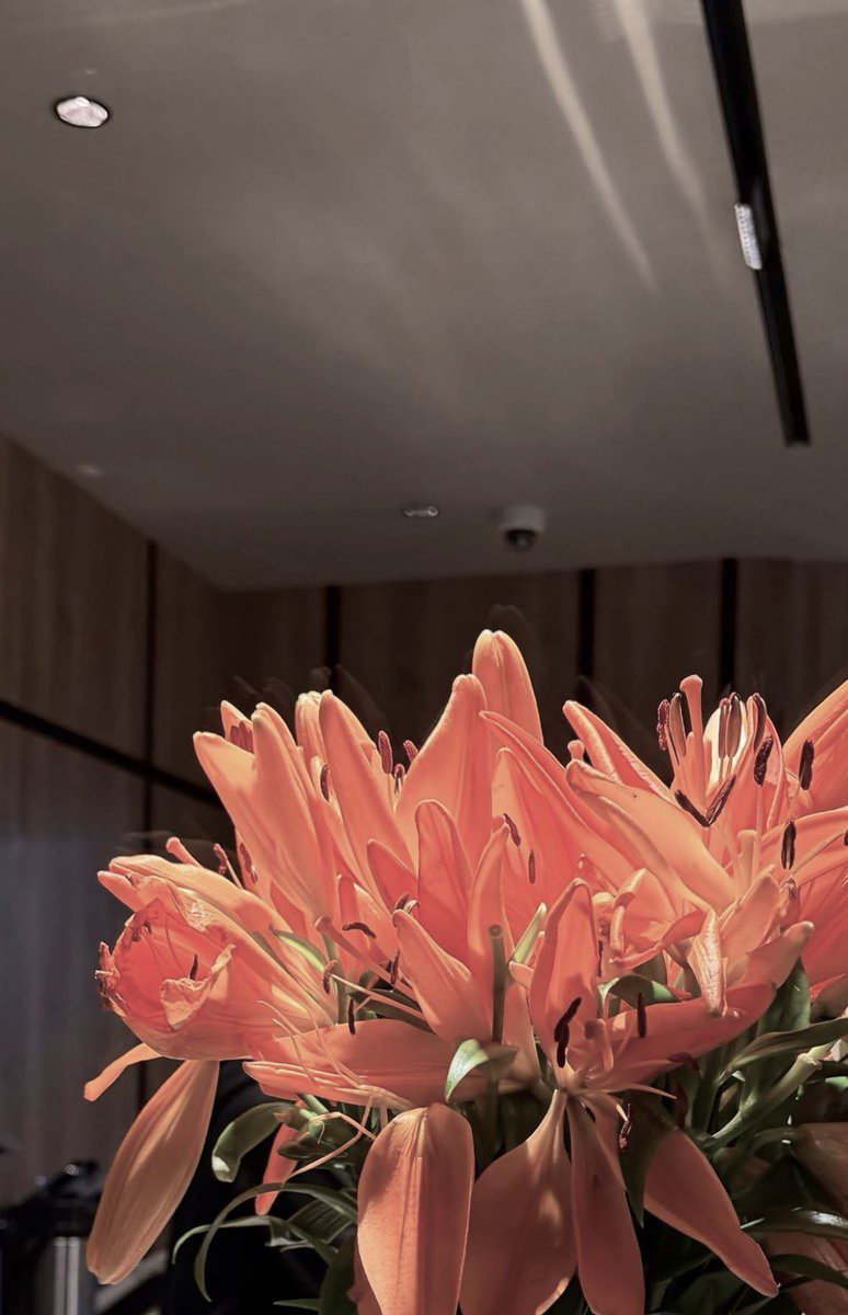 ايان | Eyan tweet media