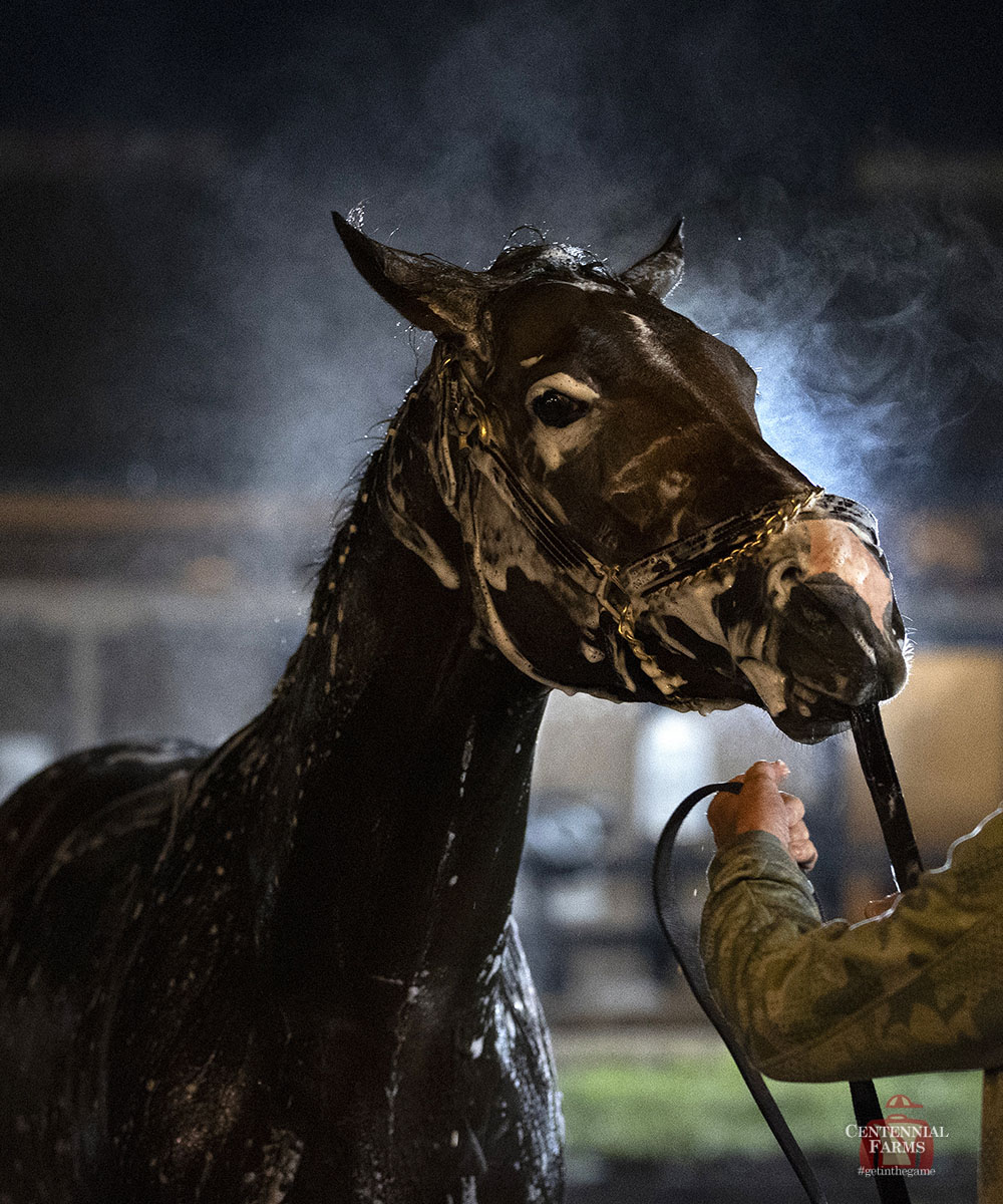 Centennial Farms tweet media