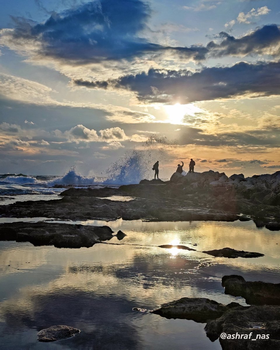 Ashraf Nasrallah tweet media