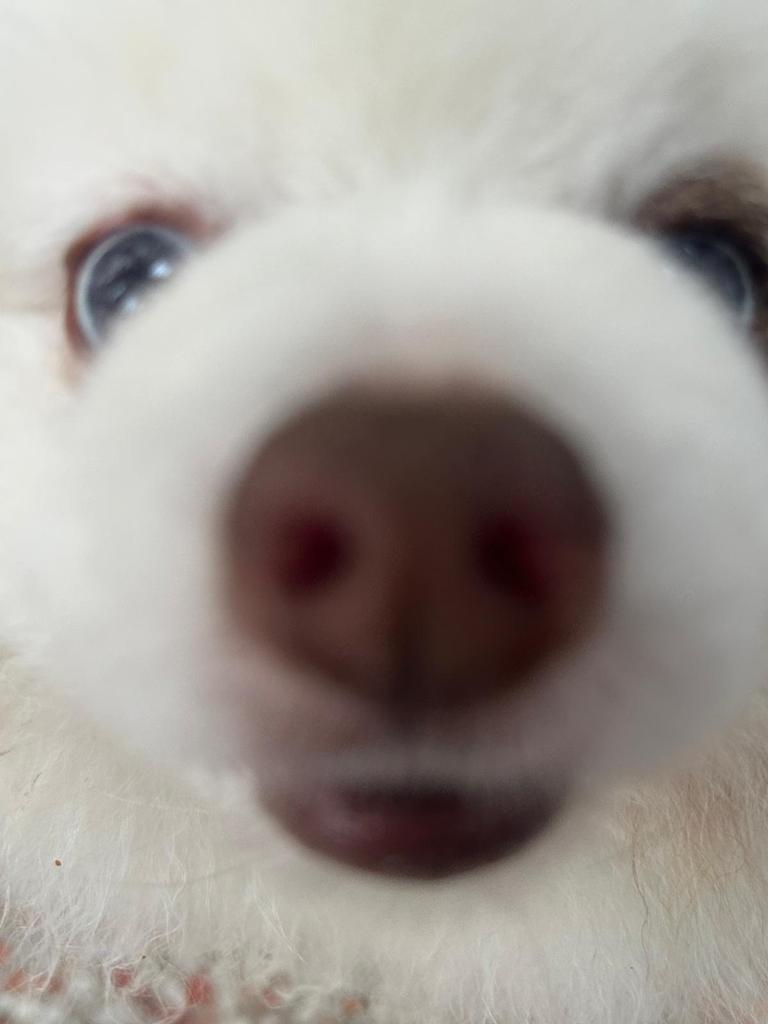 Adieu, mon petit bout.