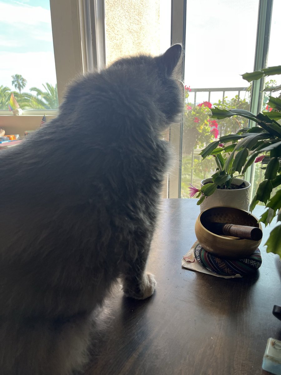 philduthie🌈⚽️🇺🇦🏴🏳️🌈🇬🇱🇬🇱 tweet media