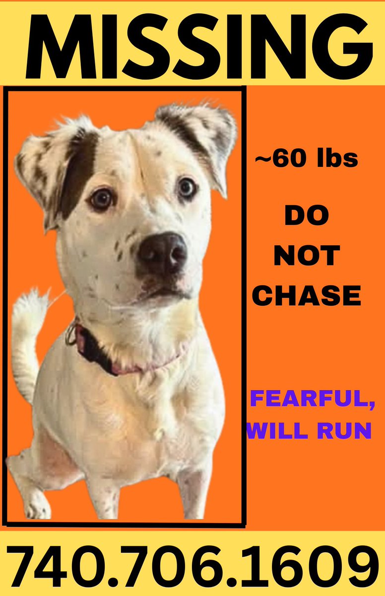 𝗣𝗲𝗻𝗻𝘆 𝗟𝗮𝗻𝗲- Lawn Potato TM tweet media