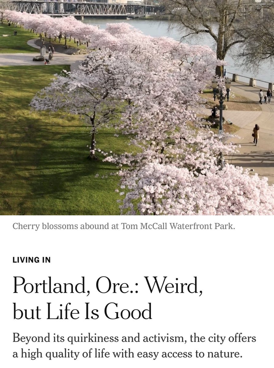 PDX Real tweet media