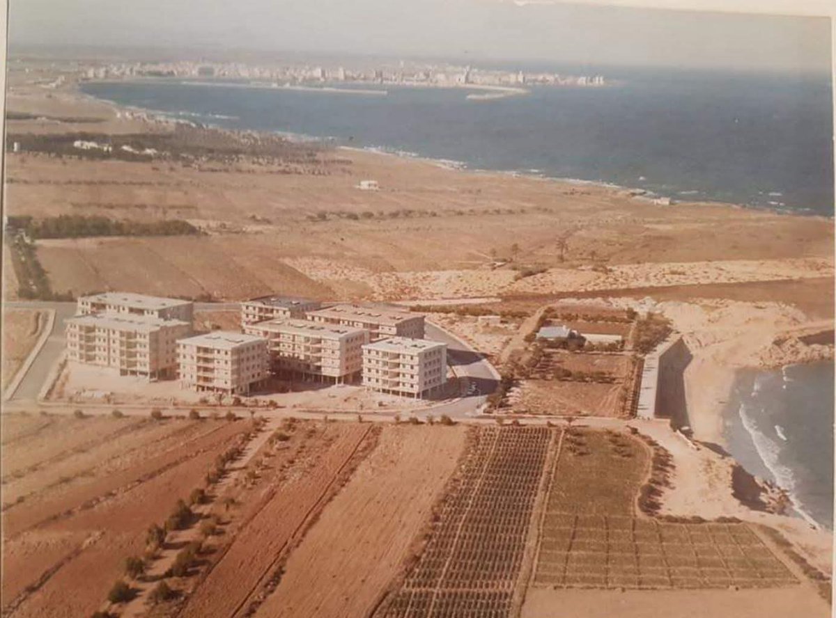 pasadodorihuela's tweet photo. Una foto aérea de una de las playas de #Orihuela Costa, Punta Prima, en el año 1969. https://t.co/eruA0SSD2c