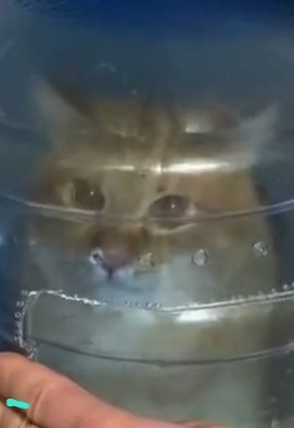 sprei gratis💙🩷💚 tweet media