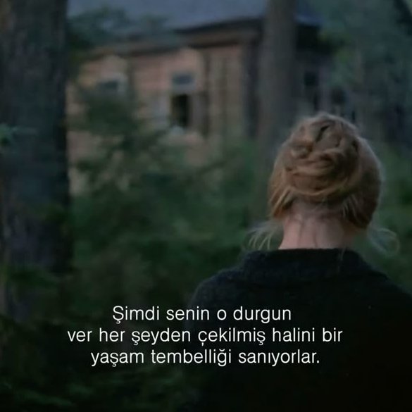 meursault tweet media