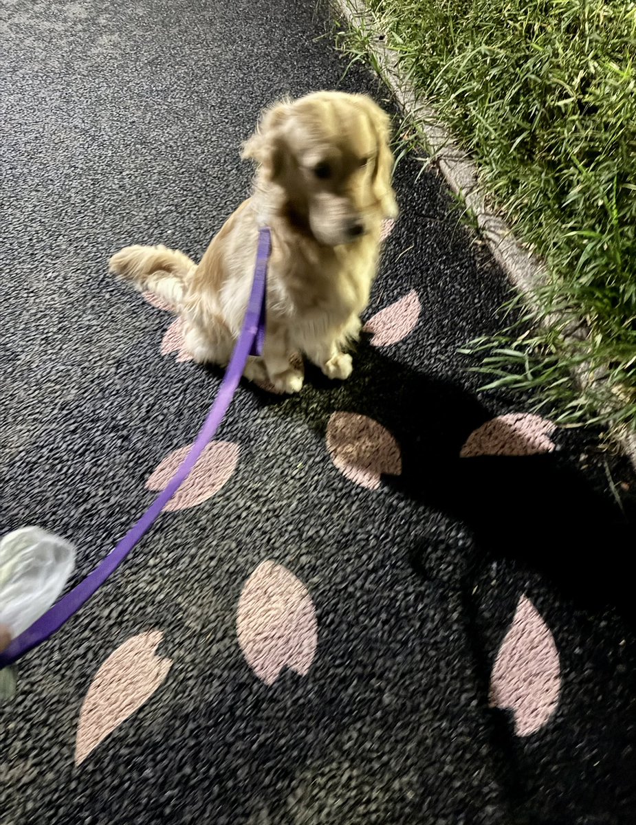 浅倉大介 tweet media