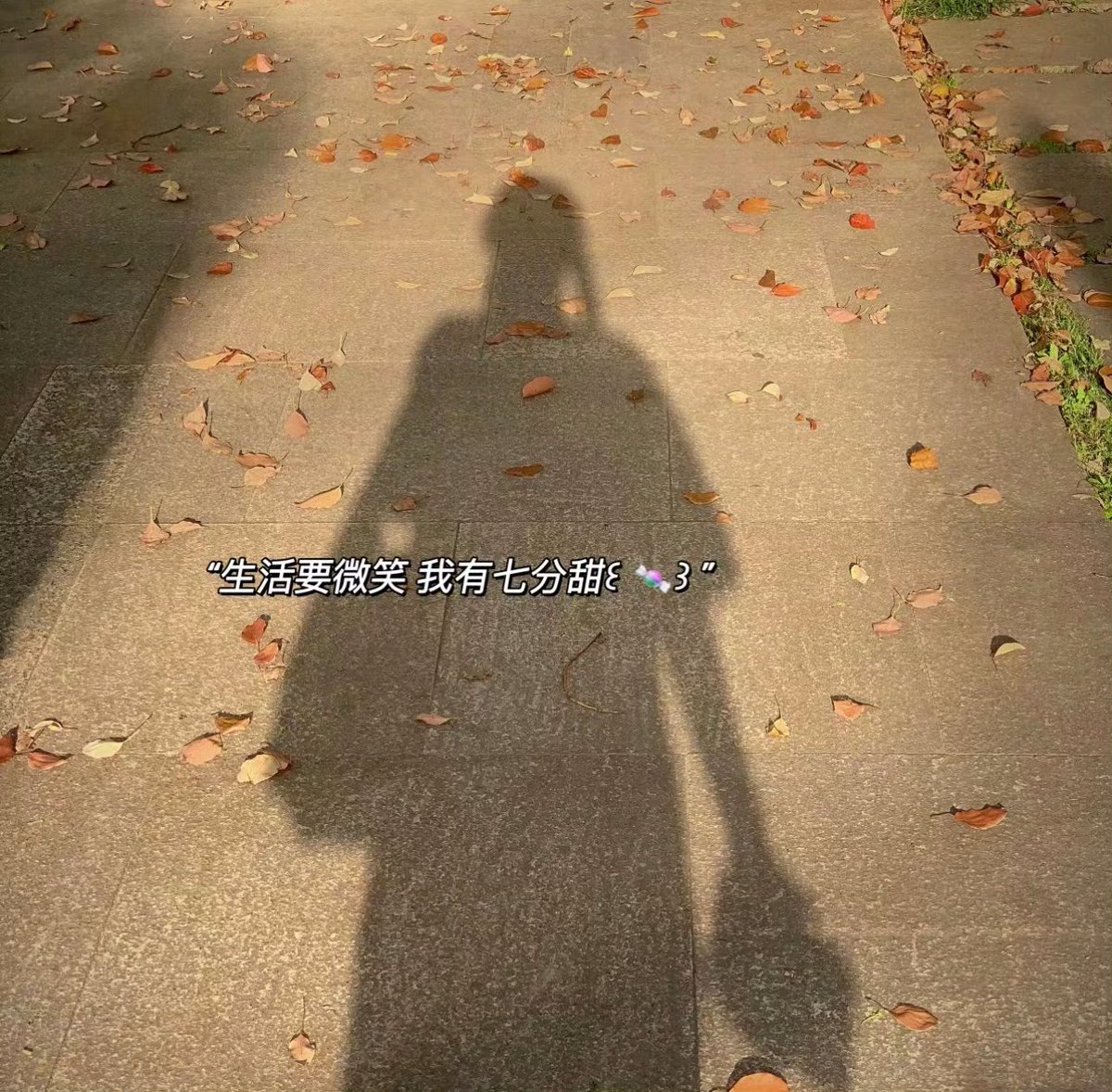 mandy houston tweet media