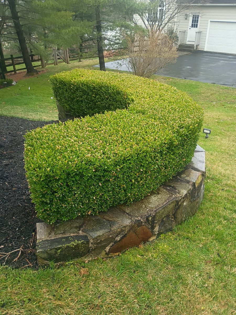 services94068's tweet image. 🌳At Armenta Tree Services &amp;amp; Landscaping, we have the expertise to handle pruning, tree removal, yard cleanup, and comprehensive garden maintenance—always delivering professional and safe results
📞 484-502-5008
#TreeExperts #landscapingservices #treecutting #stumpremoval  #Yard