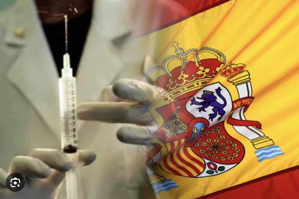 Mαr Mounier 🌐 tweet media