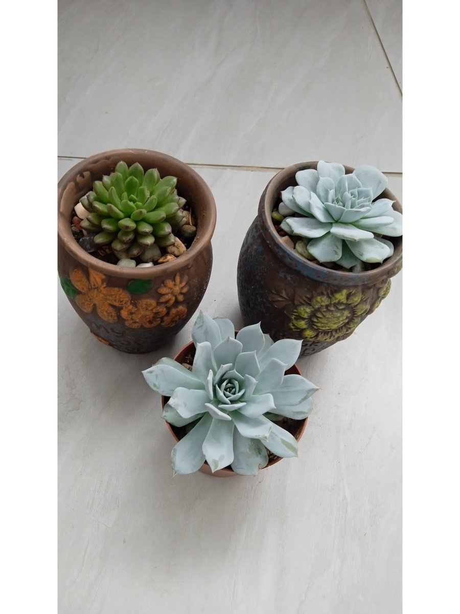 James Willy tweet media