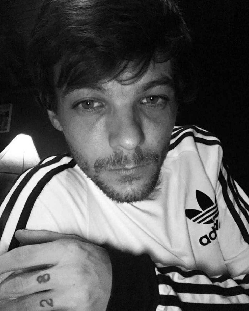 beard louis bot 🎞️ tweet media