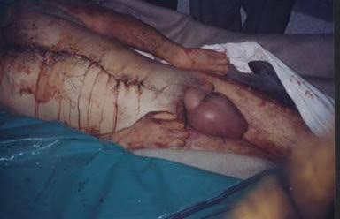 Pouya Mohammadi tweet media