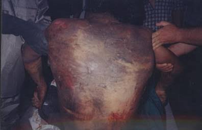 Pouya Mohammadi tweet media