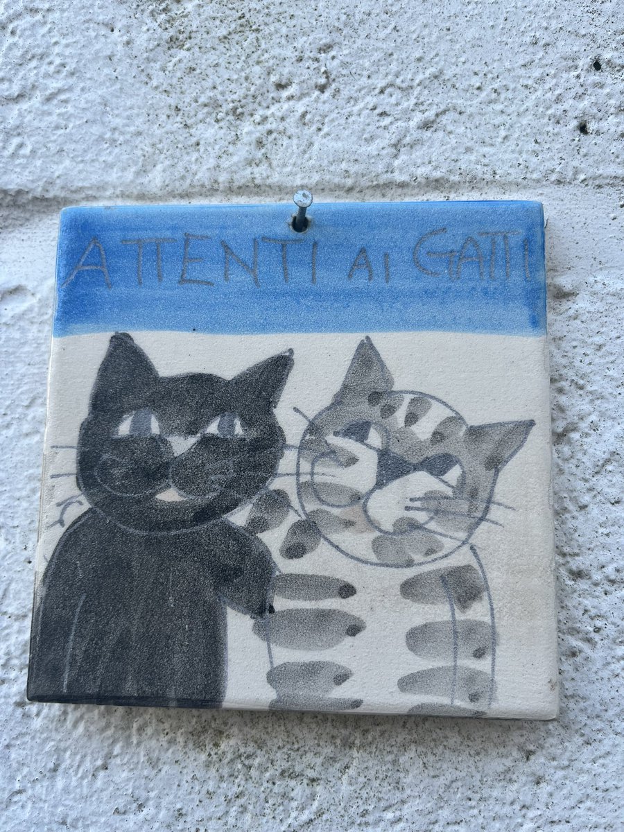raregrooveshow's tweet photo. @Johnnyroast Gato/Gatti https://t.co/3wI5YckvEs