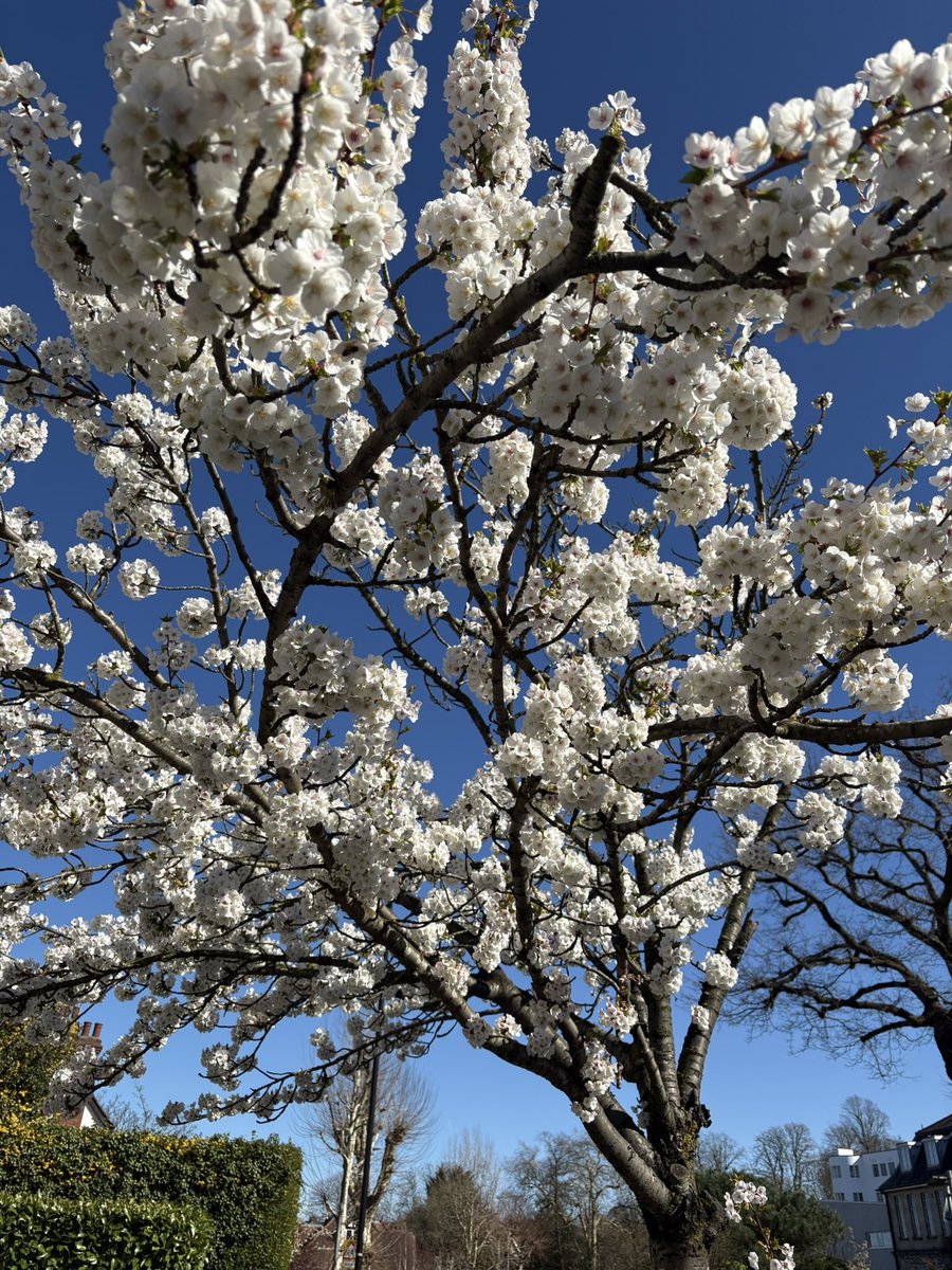 Nicole Lampert tweet media