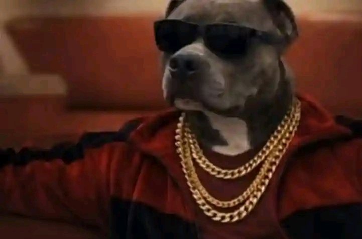 Kal4U📚 tweet media