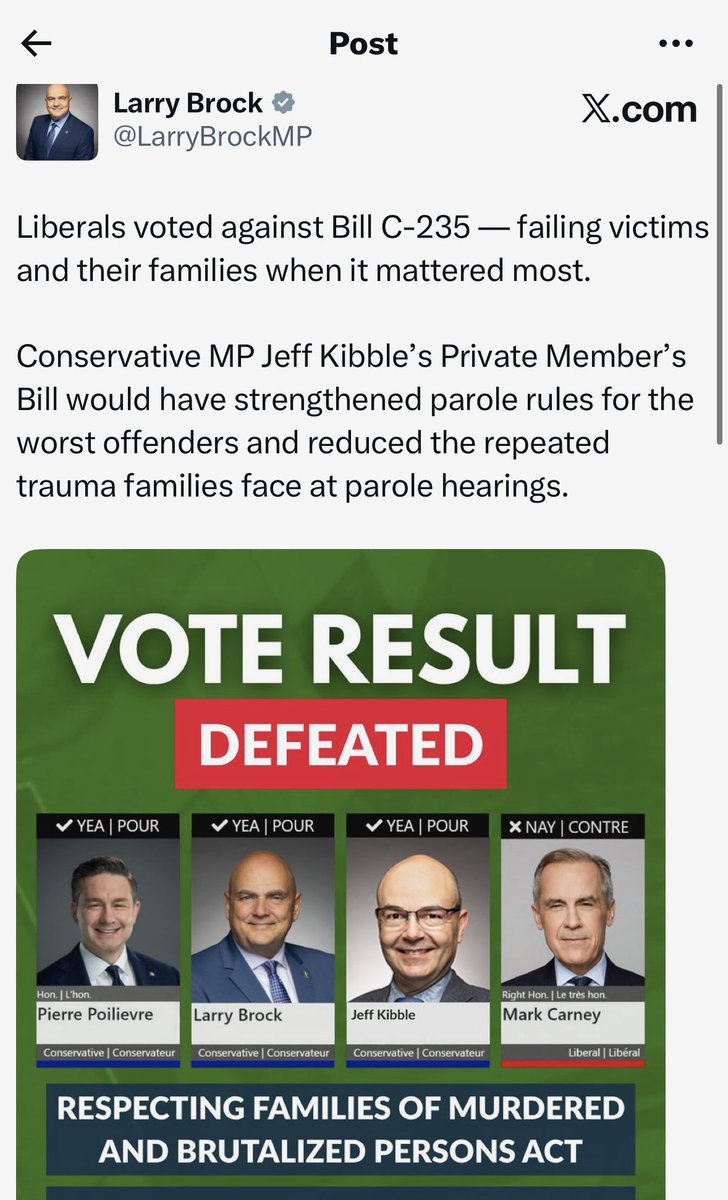 Patricia Lattanzio tweet media