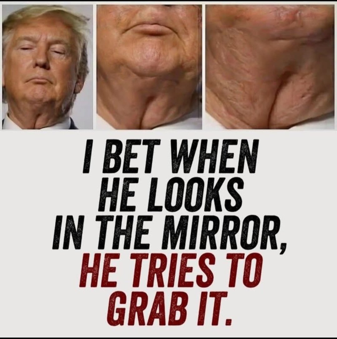 DogsAreBetter tweet media