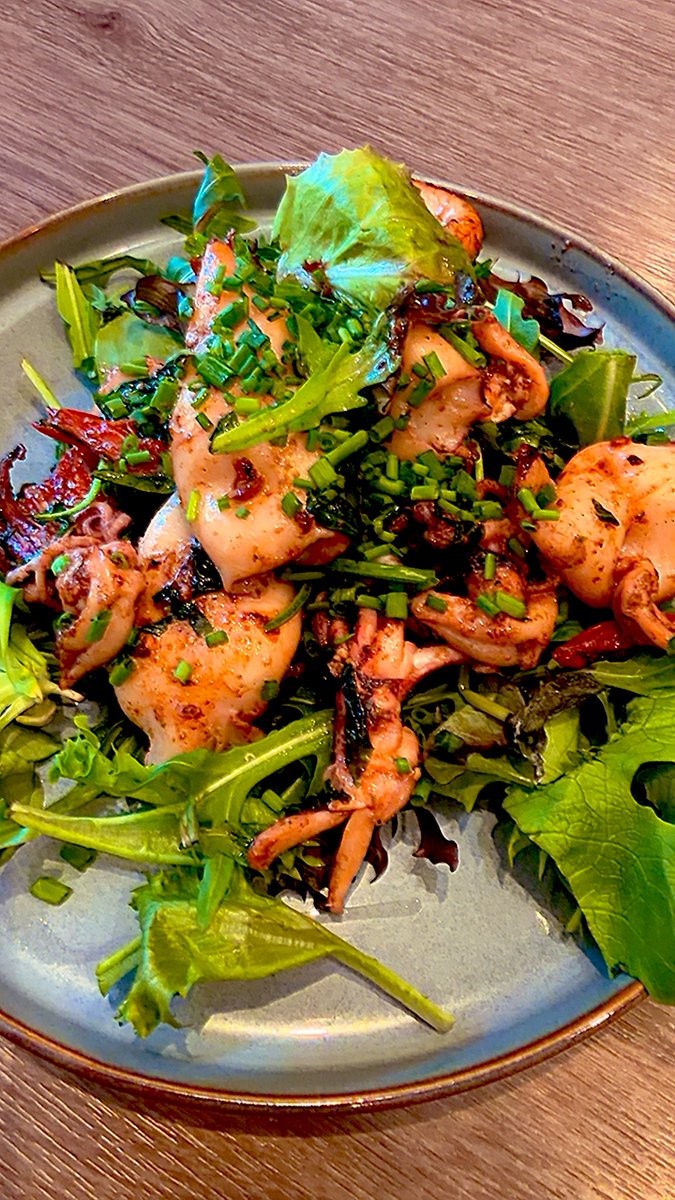 Caro Clem 🪸🌊⛵️ tweet media