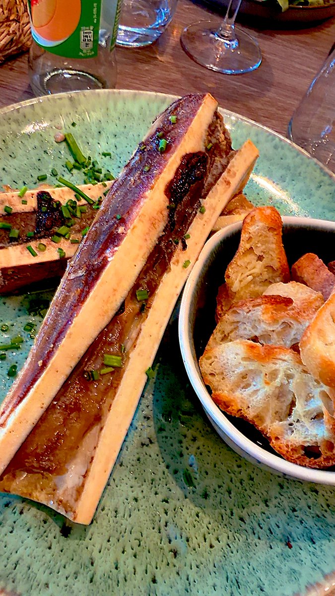 Caro Clem 🪸🌊⛵️ tweet media