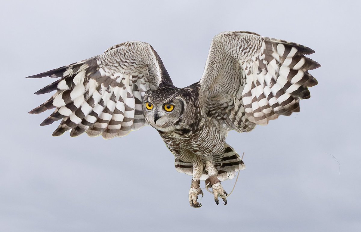 Photography Tricks and Tips tweet media