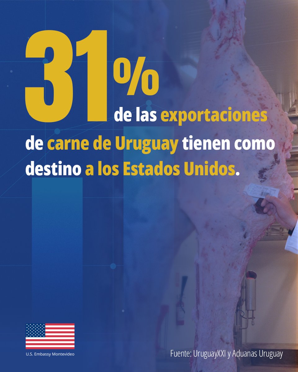 🇺🇸 Estados Unidos se consolida como un destino clave para la carne uruguaya 💪
👉 En 2025, el mercado estadounidense representó el 31% de las exportaciones de carne de Uruguay 🇺🇾, posicionándose como uno de los principales socios comerciales del sector. 
🔸 Además, en lo que va